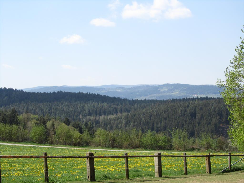 Böbrach Ferienhaus Zopfhaeuslヴィラ エクステリア 写真