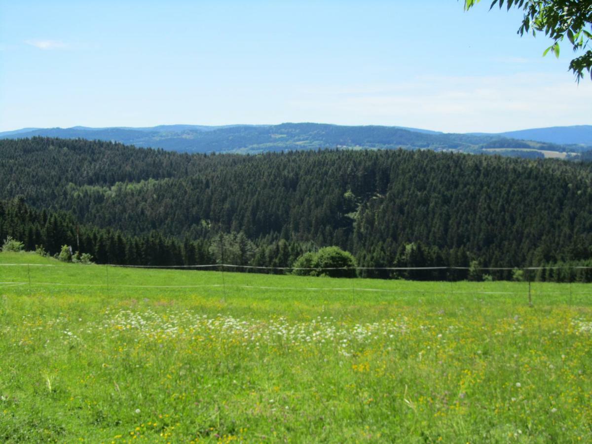 Böbrach Ferienhaus Zopfhaeuslヴィラ エクステリア 写真