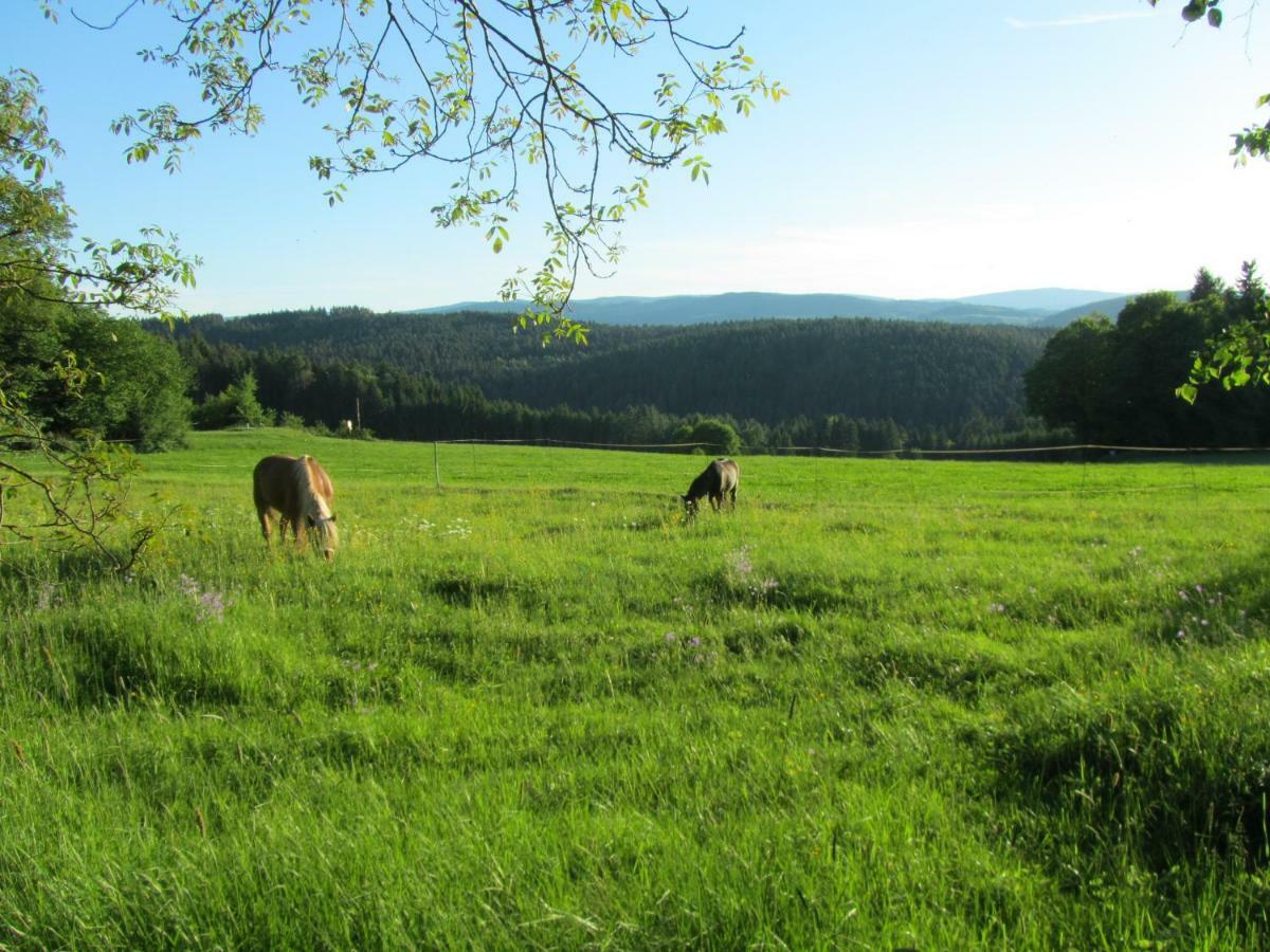 Böbrach Ferienhaus Zopfhaeuslヴィラ エクステリア 写真